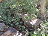 image of grave number 725525
